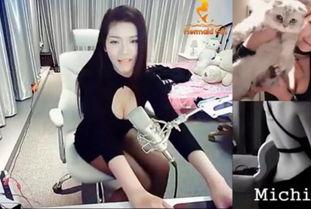 女主播米希儿皮裤,女主播的时尚宣言与人气飙升之谜