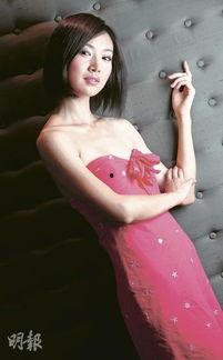 美女明星禁,美女明星背后的故事与挑战