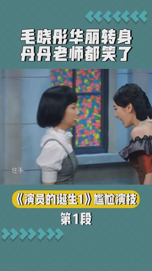 哎呀逗先生演员介绍,揭秘演员阵容，喜剧盛宴即将开启