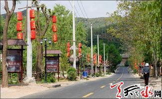 川村资料,揭秘日本乡村生活与文化传承