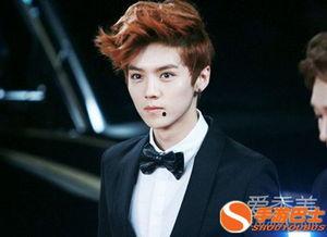 鹿晗的八卦,揭秘明星背后的八卦风云