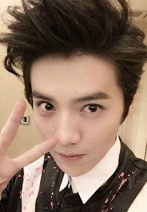 鹿晗的八卦,揭秘明星背后的八卦风云